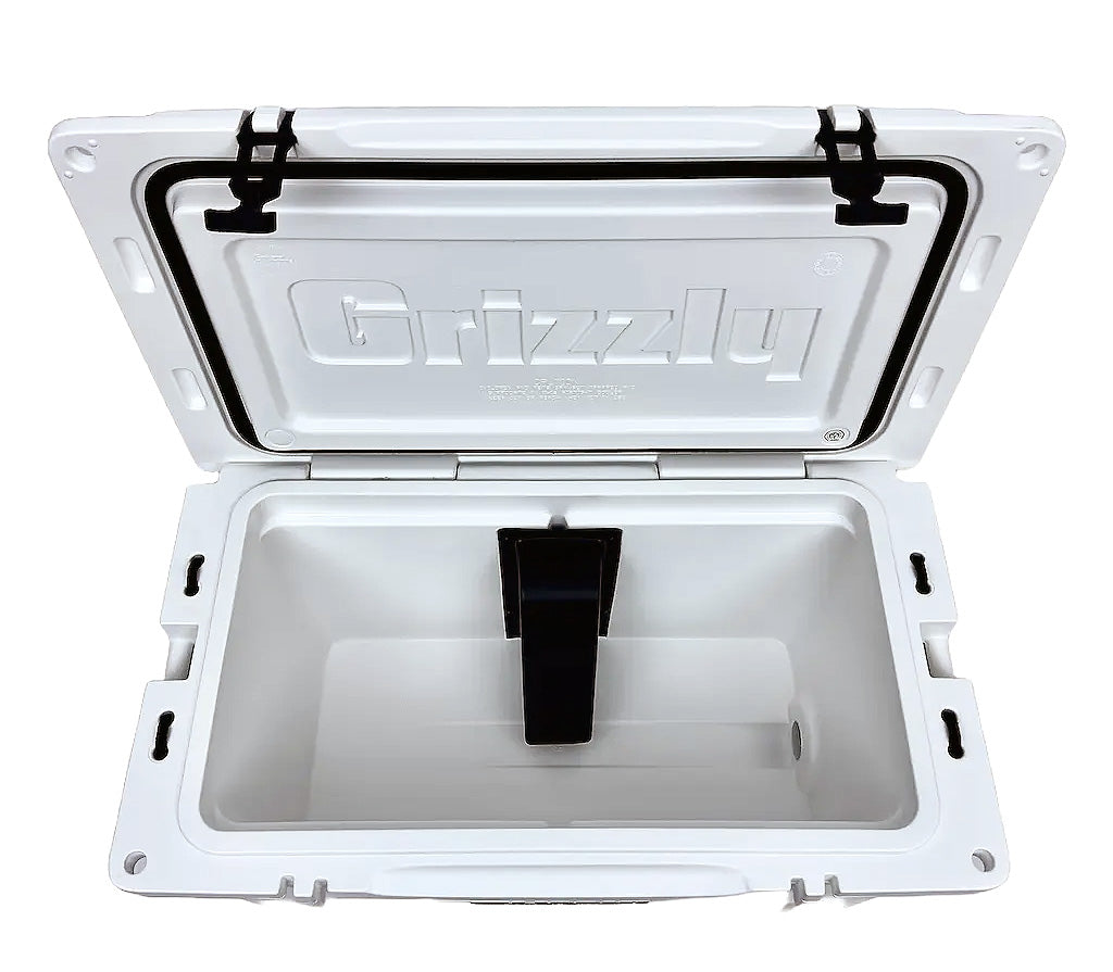 Paragon Viking Extreme Max Team Cooler (110V)