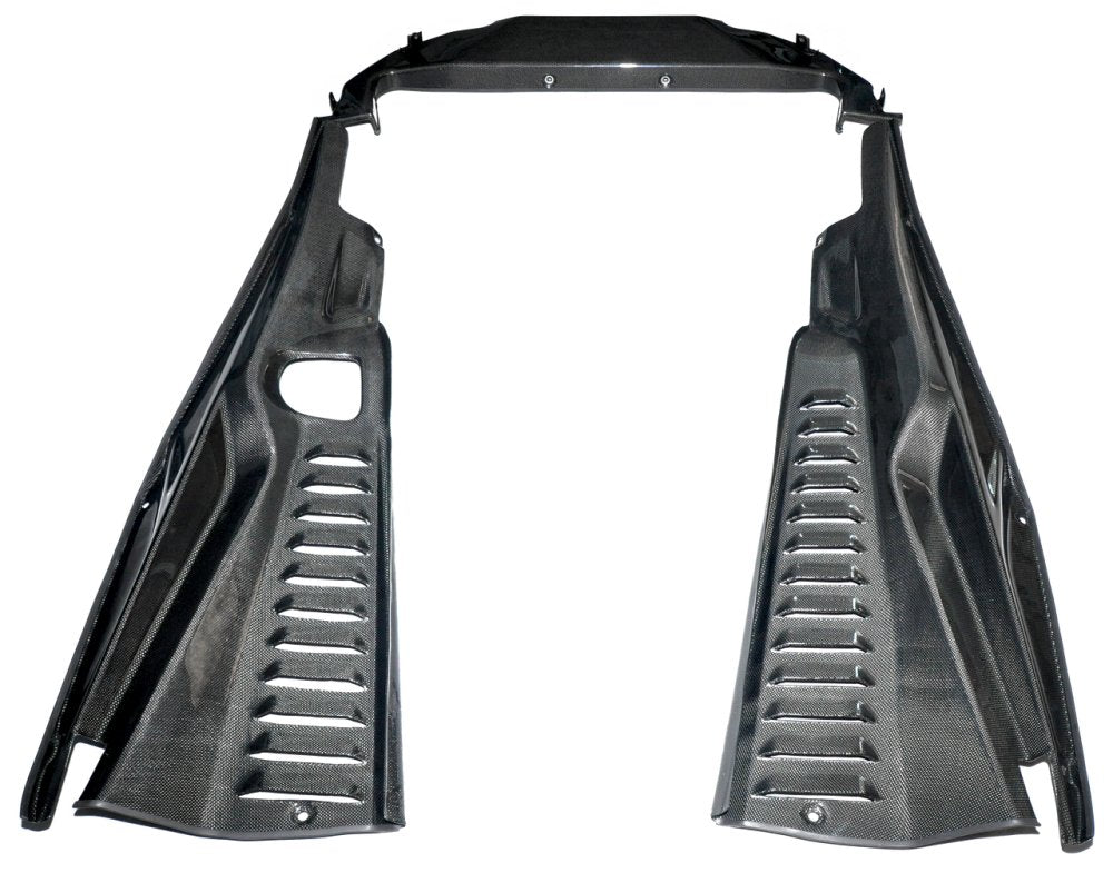 C3 Carbon Ferrari 458 Carbon Fiber Engine Trim - Competition Motorsport