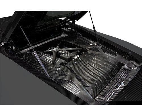 C3 Carbon Lamborghini Huracan LP610 Carbon Fiber Complete Engine Bay - Competition Motorsport
