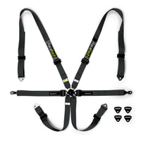 Thumbnail for Racetech Pro International 6 Point Lightweight GT Harness Porsche Style