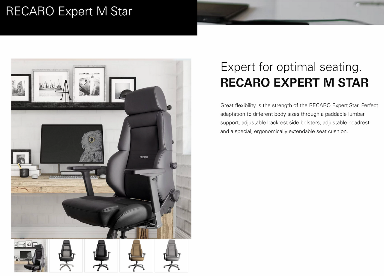 Recaro-Expert-M-Star-Lifestyle-Seat-Low-Price-Image