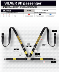 Thumbnail for Sabelt Porsche GT3/GT4 4 Point Harness