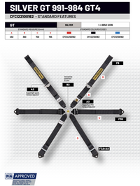 Thumbnail for Sabelt Silver Series Enduro Porsche GT2-GT3-GT4 6 Point Racing Harness 2029 Expiry