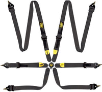 Thumbnail for SAFETY HARNESS FIRST 2