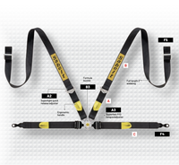 Thumbnail for Four-point racing harness for Porsche GT3 and GT4 with lightweight carbon bucket seats