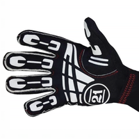 Thumbnail for Stand21 Official Porsche Motorsport Racing Gloves