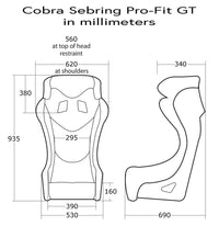 Thumbnail for Cobra Sebring Pro-Fit Racing Seat - Competition Motorsport