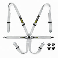 Thumbnail for Racetech Pro International 6 Point Lightweight GT Harness Porsche Style in silver at Competition Motorsport.